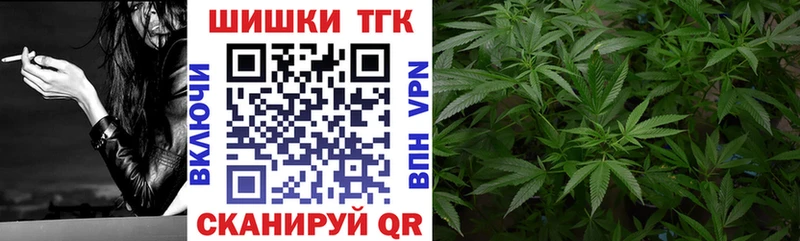 Каннабис сатива  Алагир 